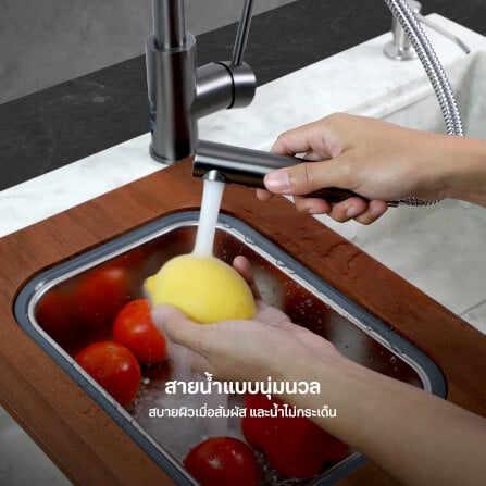 ก๊อกซิงค์สำหรับอ่างล้างจาน EVE LEXI GUNMETAL EP สเตนเลส 30 ซม. สีดำเงา_3